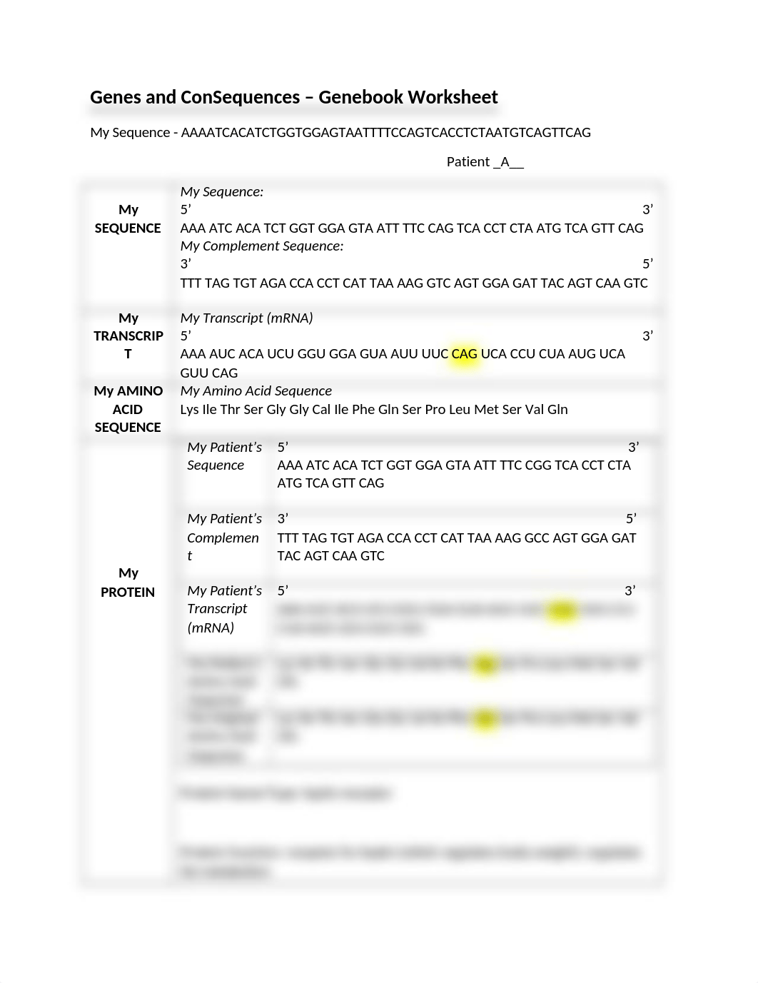 Genes and ConSequences Genebook Worksheet - Nora Windschill.docx_dhwami2n49g_page1