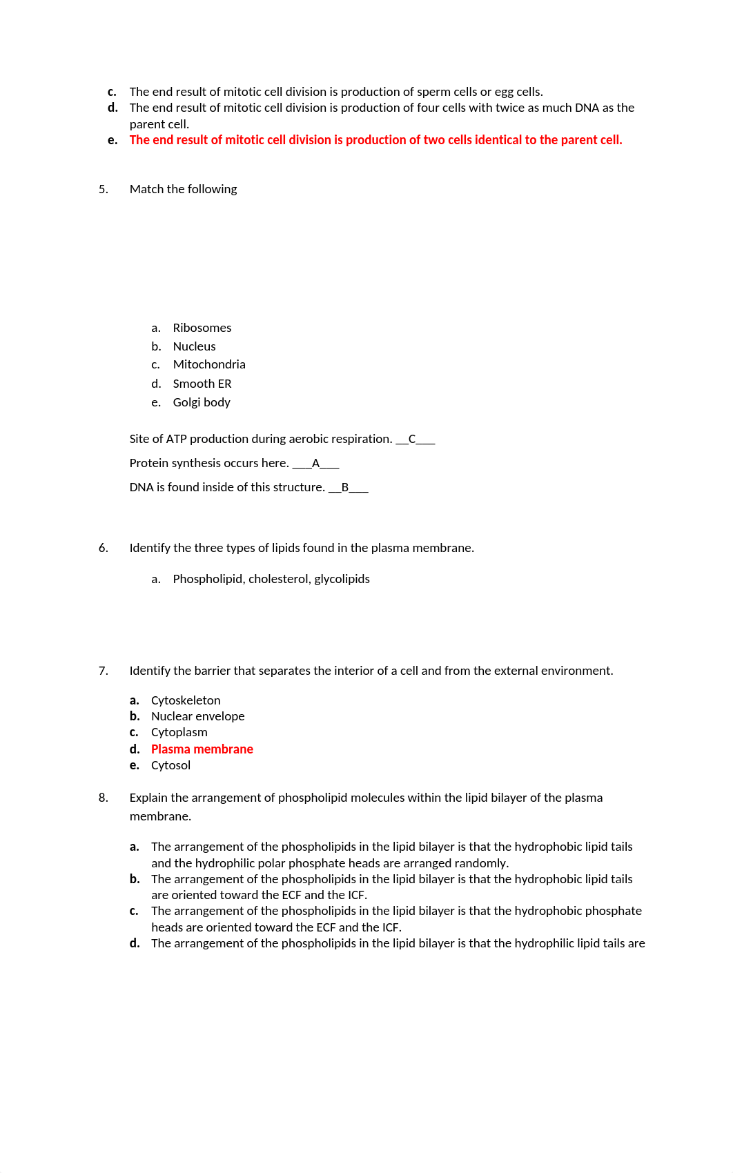 Chapter 3 Cells Worksheet.doc_dhwb42qb0gp_page2