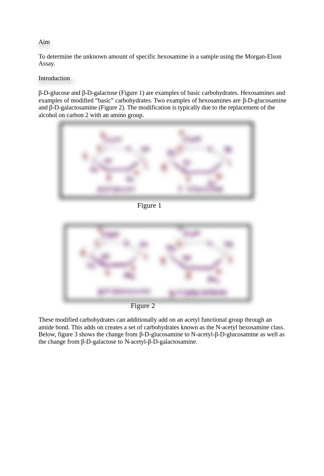 Morgan Elson Assay for Hexosamines.pdf_dhwcgh1ko2g_page2