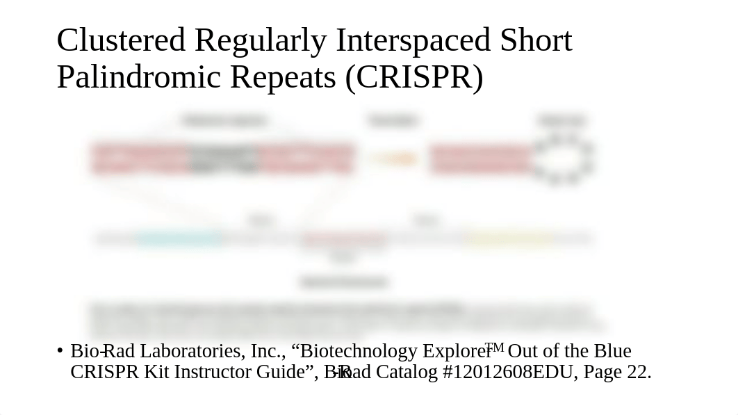 CRISPR-Cas9 Genome Editing Experiments.pdf_dhwgj7wl1vh_page3