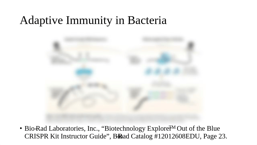 CRISPR-Cas9 Genome Editing Experiments.pdf_dhwgj7wl1vh_page4