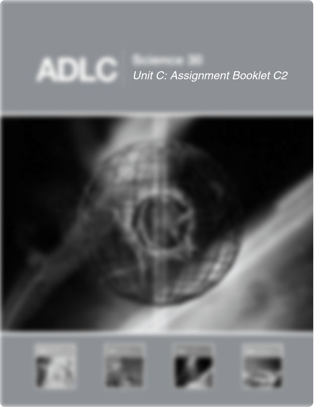 C2.pdf_dhwoi5adsvm_page3