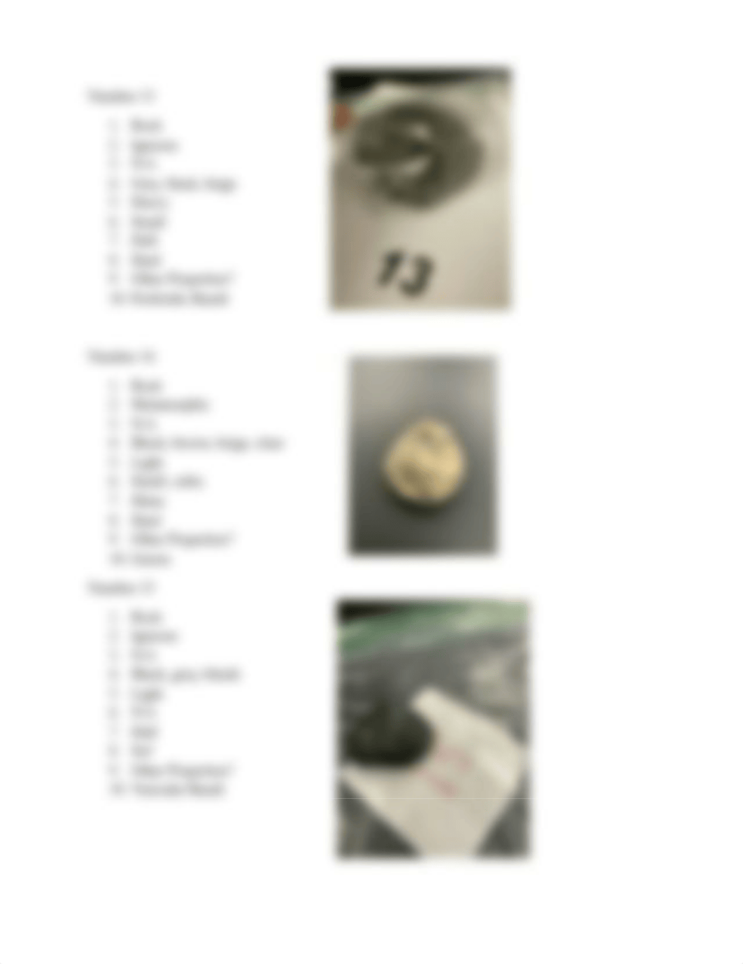 Lab Report 5 Rock and Mineral Identification.docx_dhwoyog0e91_page5