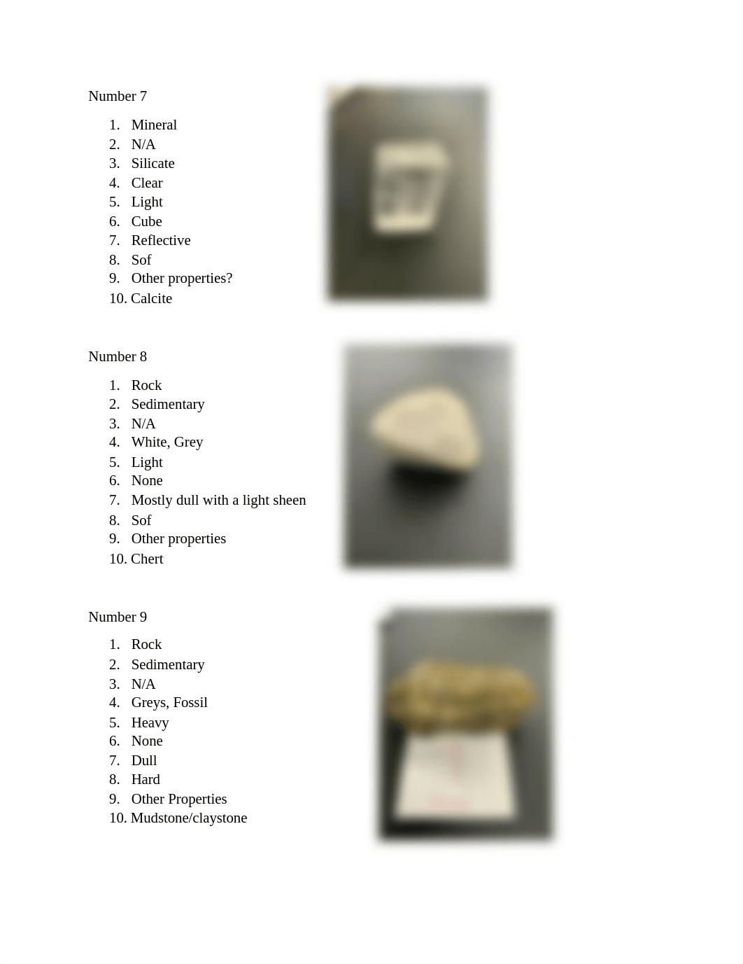 Lab Report 5 Rock and Mineral Identification.docx_dhwoyog0e91_page3