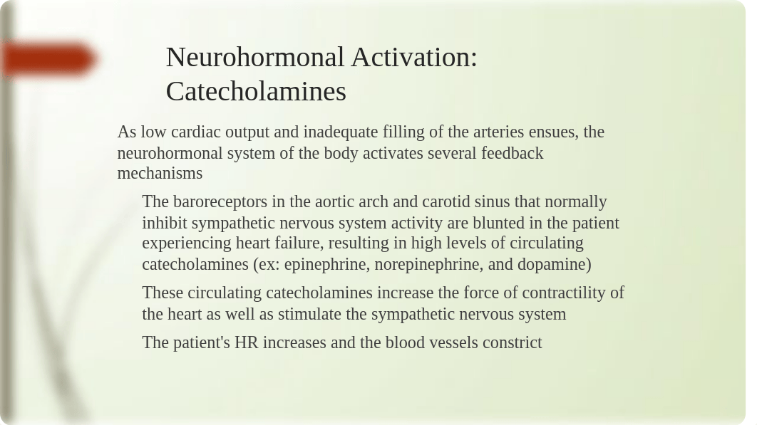 drug therapy heart failure.pdf_dhwvxevq1o8_page3