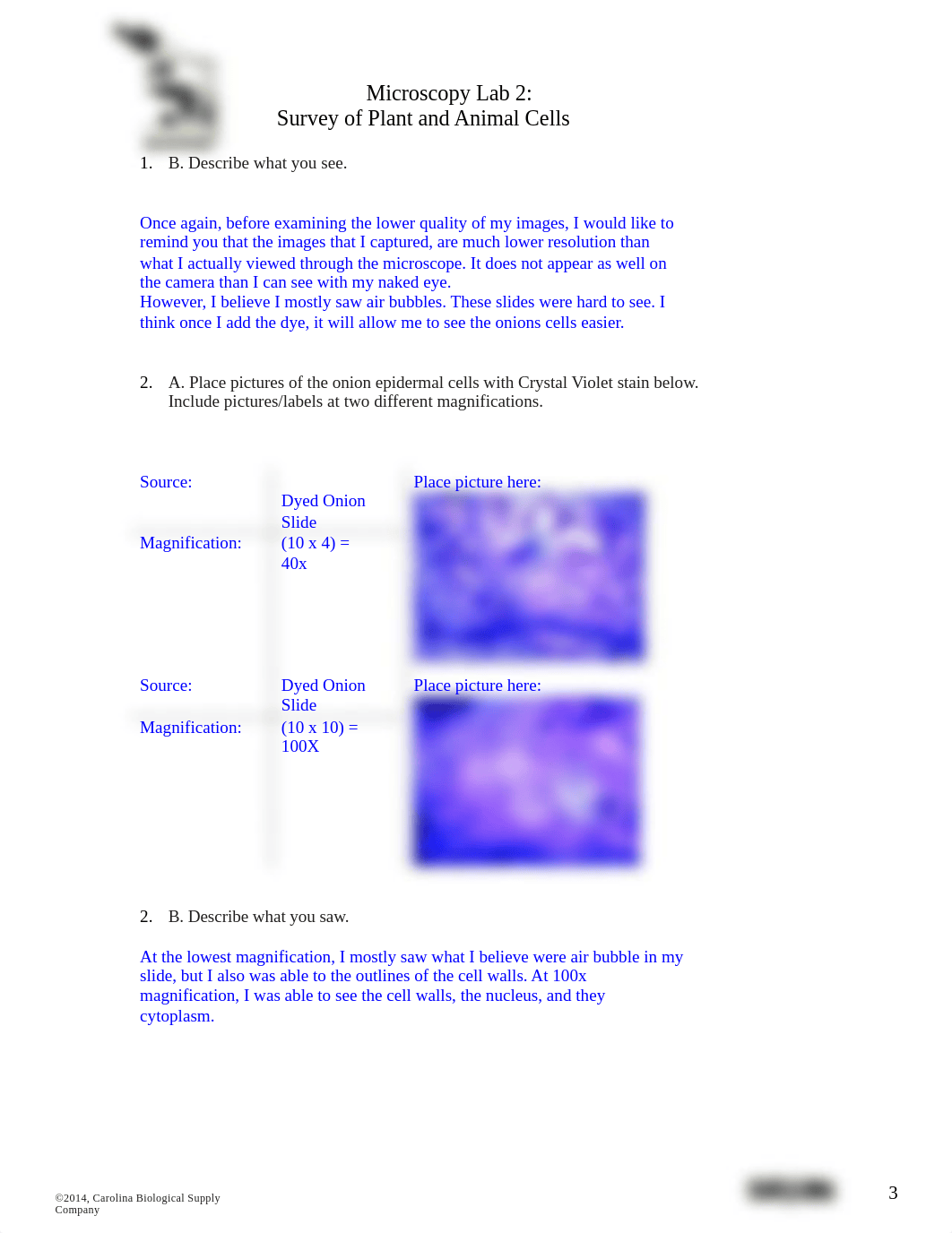 Microscopy Lab 2 Worksheet.docx_dhwyc3dqzey_page3