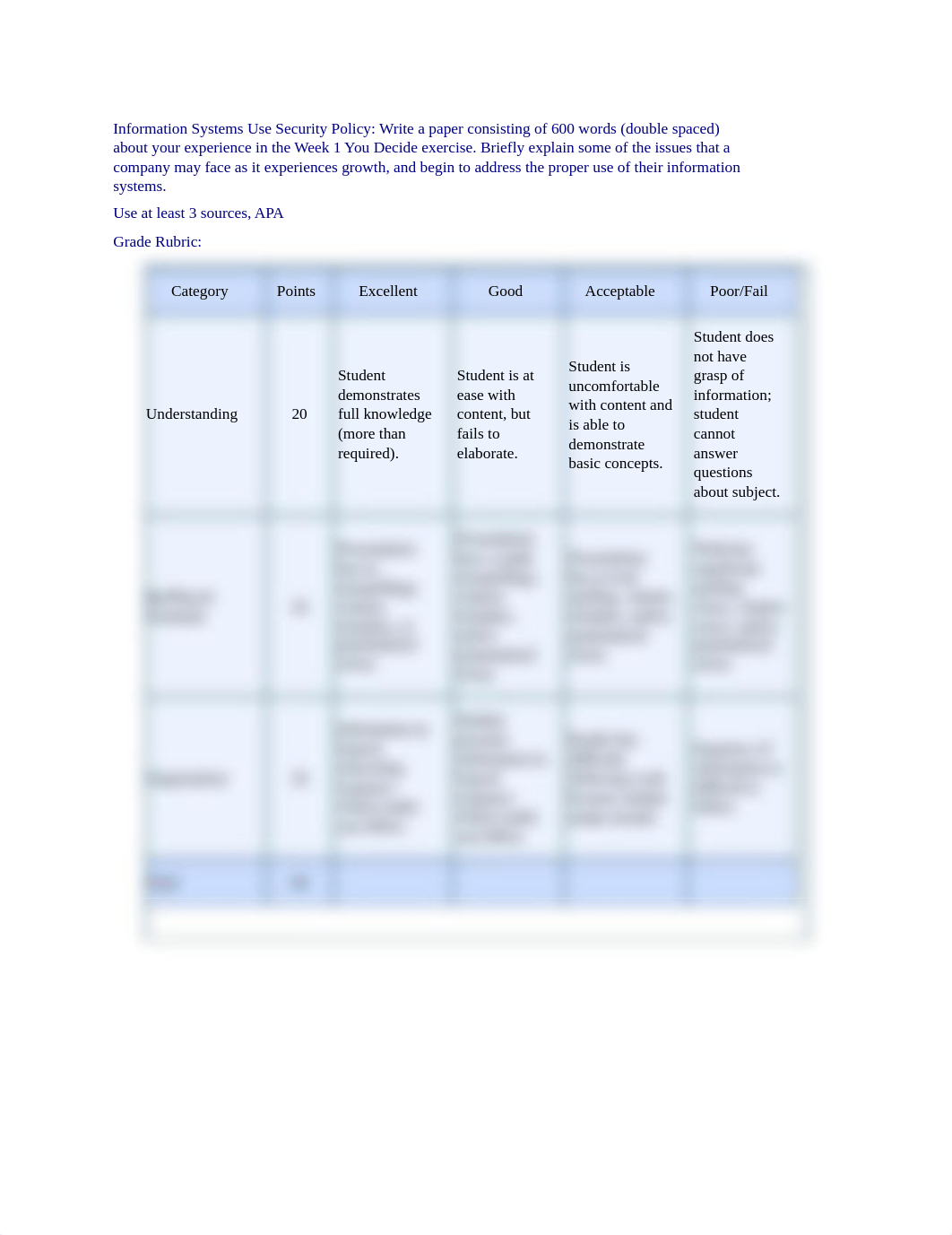 Information Systems Use Security Policy_dhx2rptyysj_page1