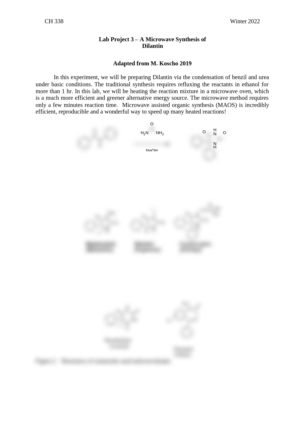 Lab Project 3 Procedure (1).pdf_dhx86gpzwec_page1