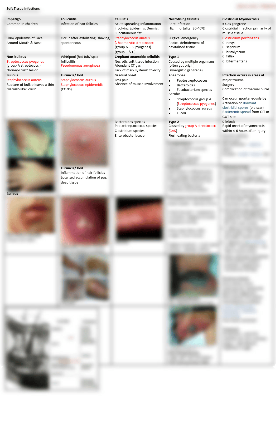 32635769-Soft-Tissue-Infections.pdf_dhxa22on77i_page1