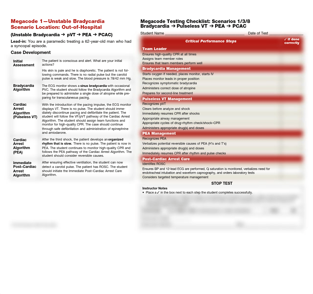 Megacode-Testing-Scenarios.pdf_dhxcke325kg_page1