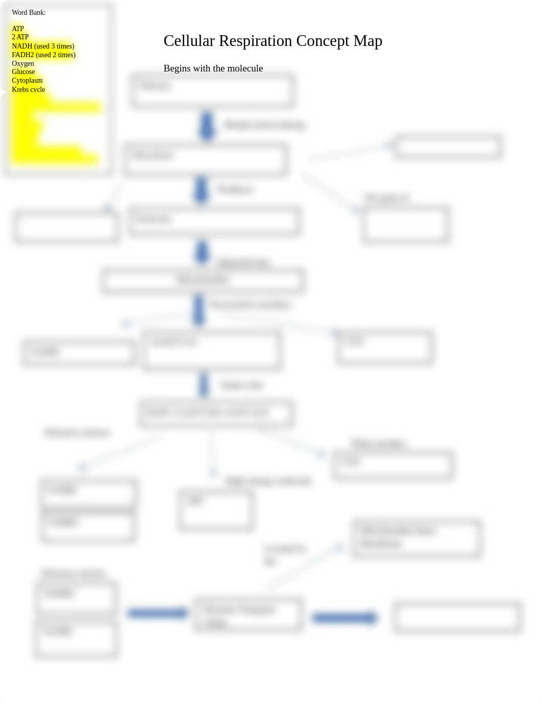 Cellular Respiration Concept Map Complete.docx_dhxfeu8j7ag_page1