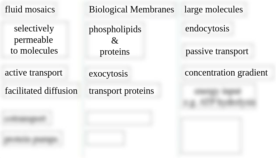 biological_membranes_concept_map.pptx_dhxhwhdlih7_page2