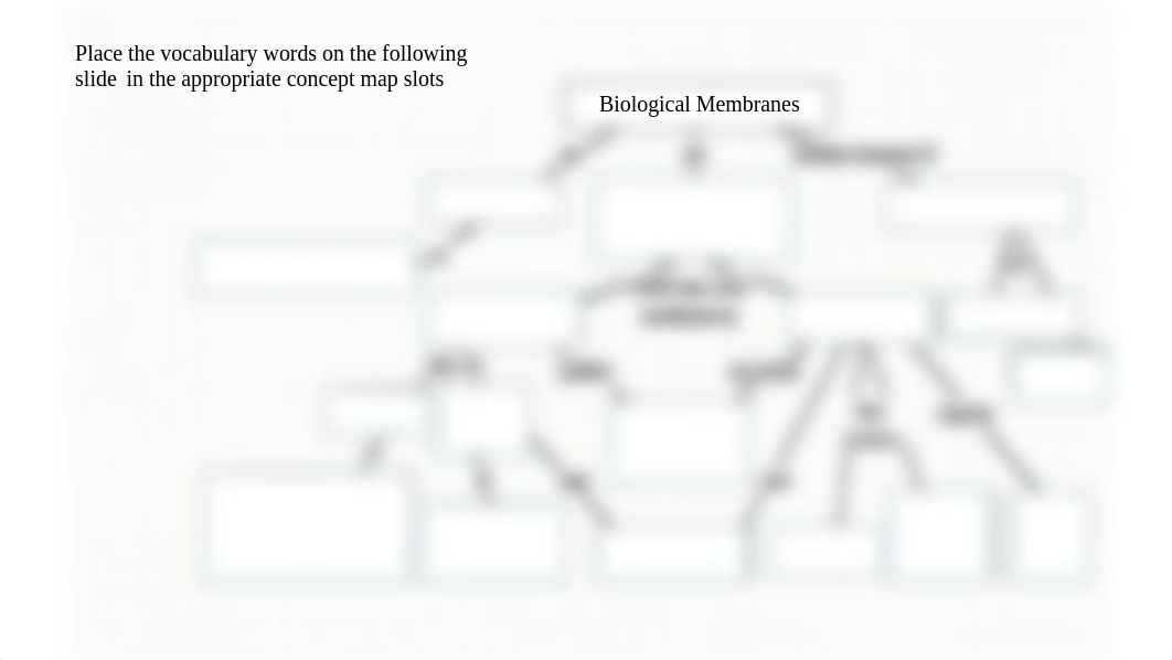 biological_membranes_concept_map.pptx_dhxhwhdlih7_page1