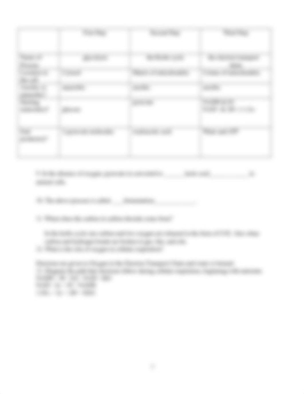 XX Metabolism Worksheet BIO 112_dhximhp59pm_page2