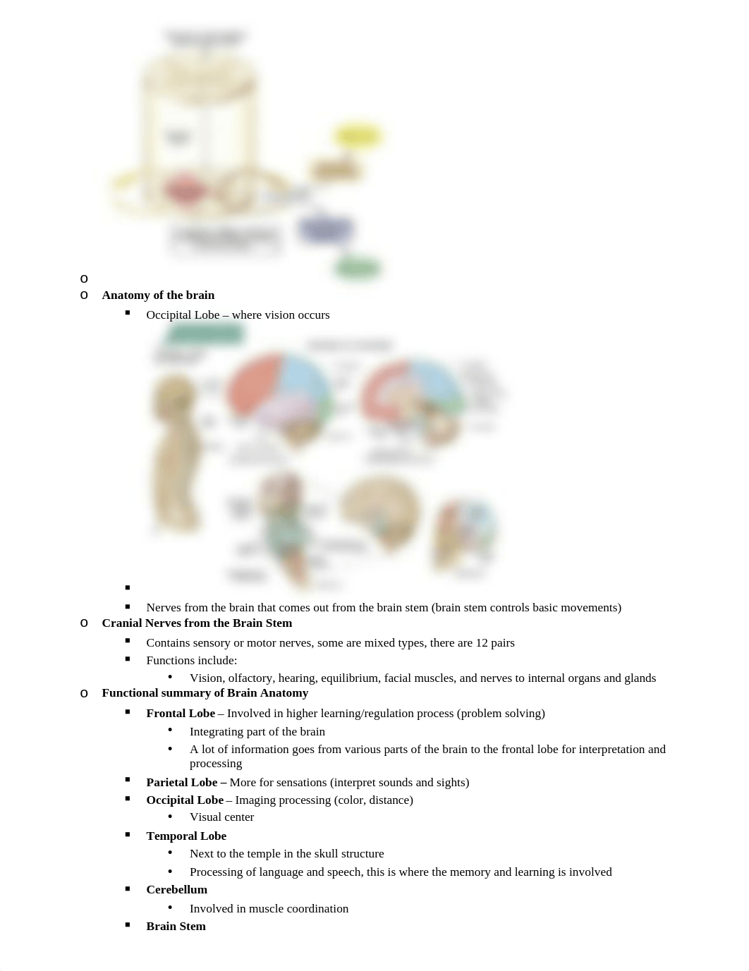 Phsyio Exam 2 - Rich_dhxmzhkv4cw_page4