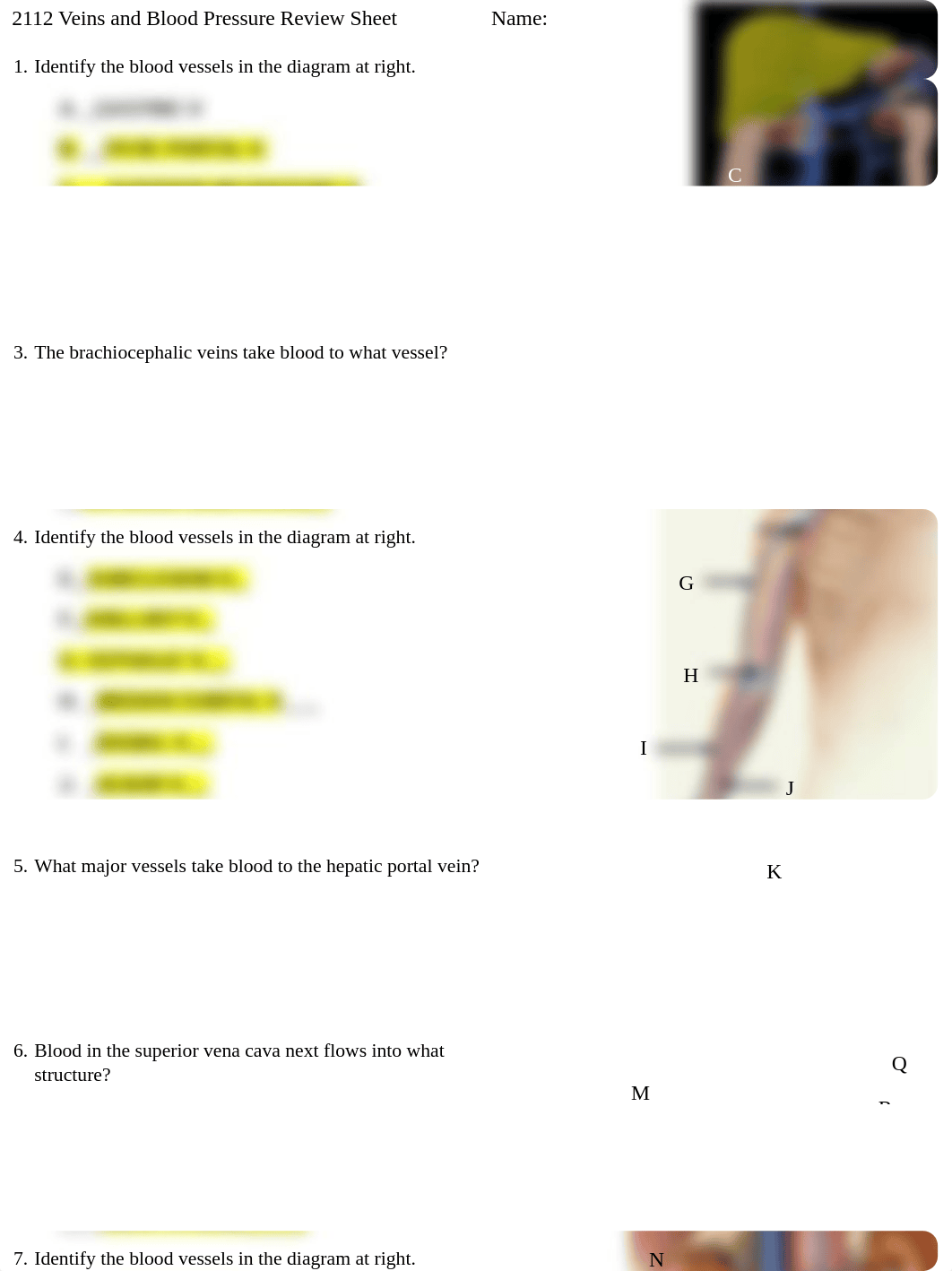 2112 Veins Review.docx_dhxprmplvh8_page1