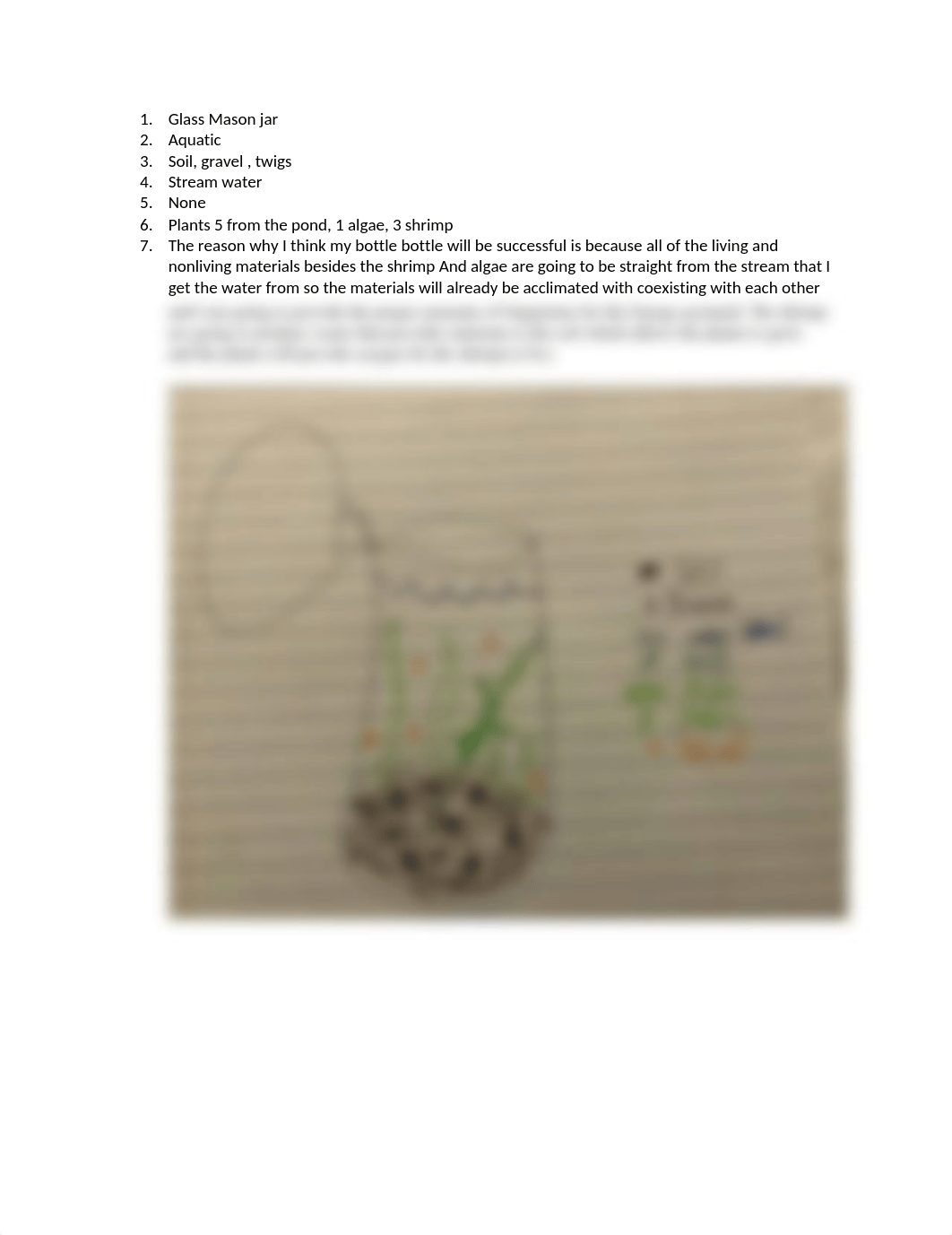 bio bottle plan.docx_dhy34z5g44c_page1