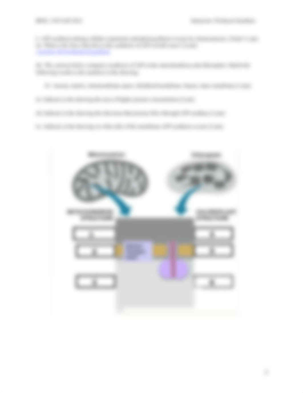 BIOL 1105 HWK6 FA16_INST1_dhy81wilkb8_page3