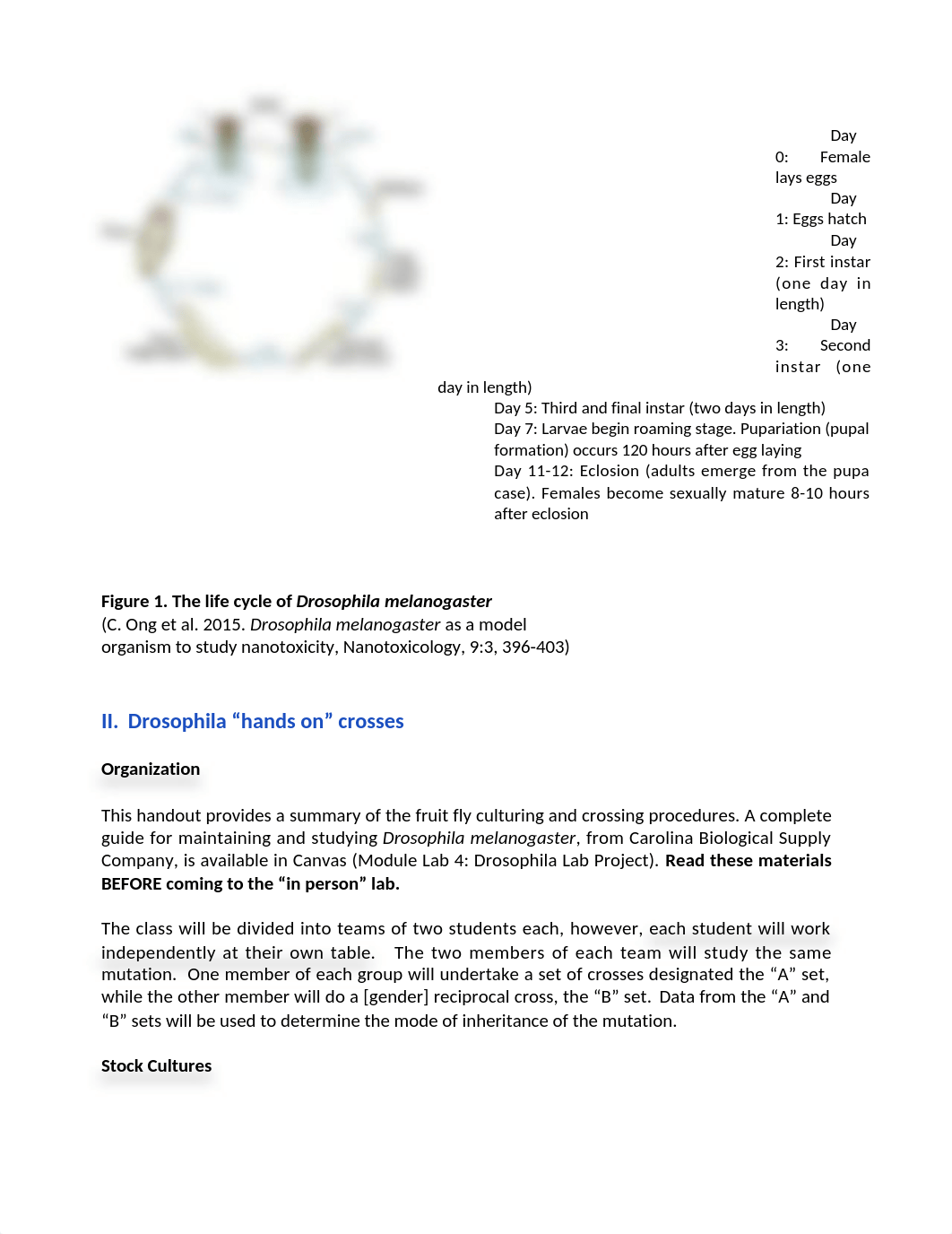 Drosophila Lab_HANDOUT.docx_dhybbxs5qab_page2