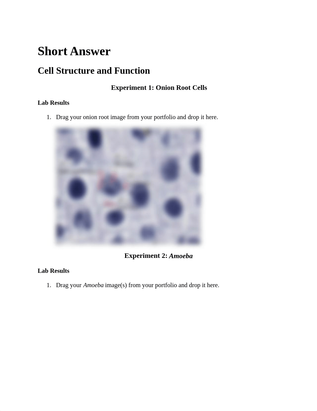 Late Nite Lab #2 - Cell Structure and Function COPY_dhyibeoexhw_page1