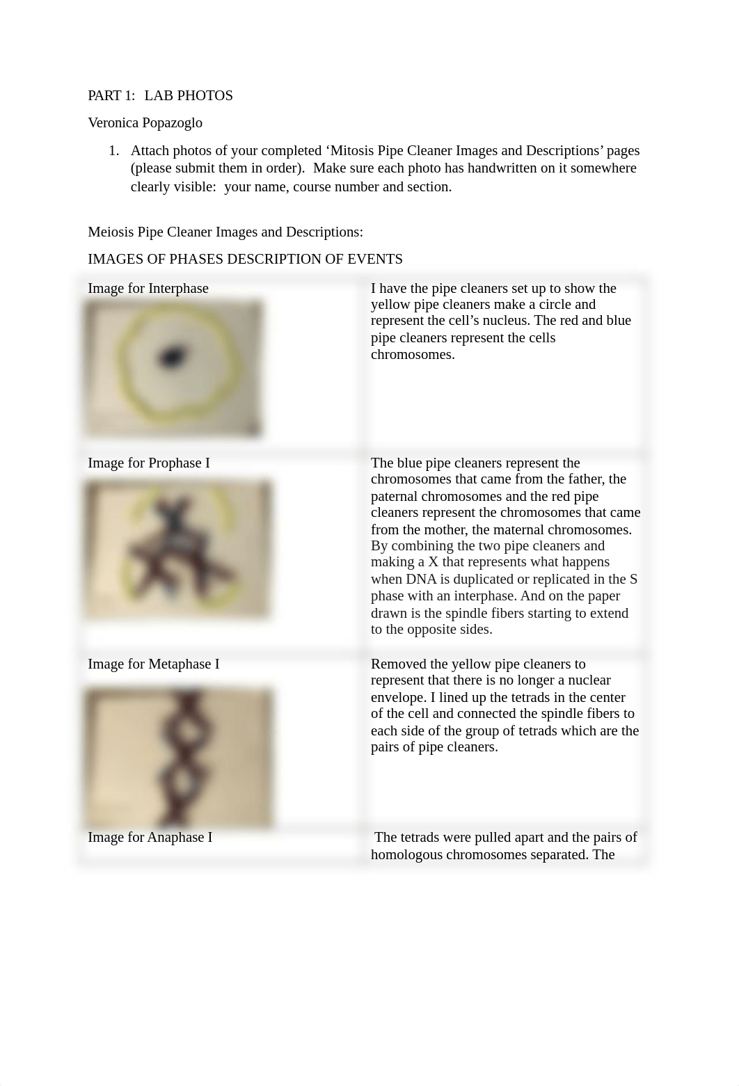 Popazoglo_Unit7labs.docx_dhyj5d6d7vr_page1