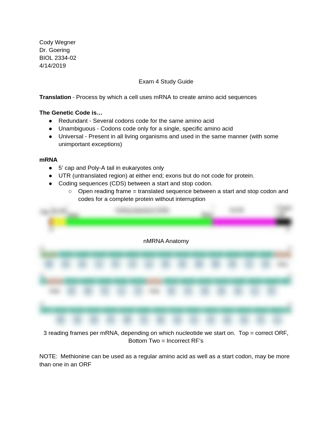 BIOL 2334 Exam 4 EC (1).docx_dhyrjd5nyux_page1