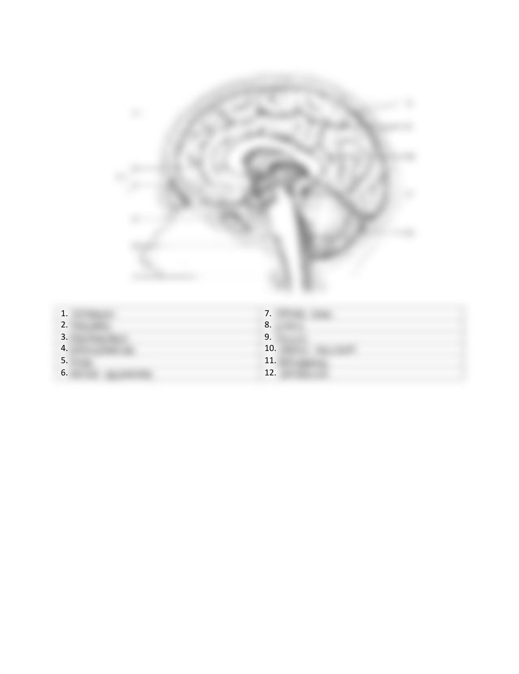 brain labeling.pdf_dhyts2evgx7_page1