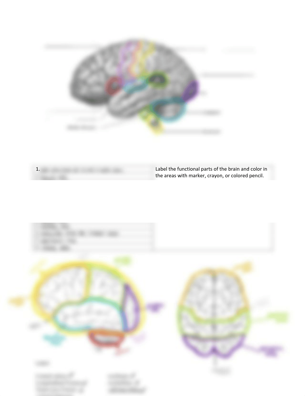 brain labeling.pdf_dhyts2evgx7_page2