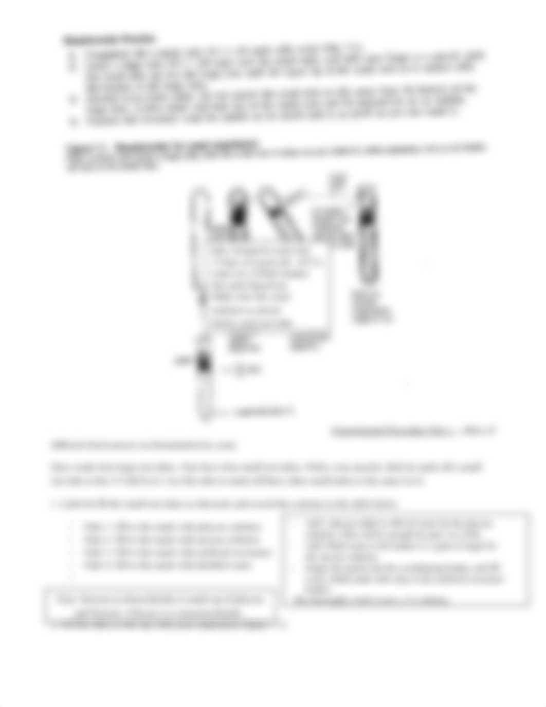 Yeast Fermentation Lab.doc_dhyufw6euch_page2