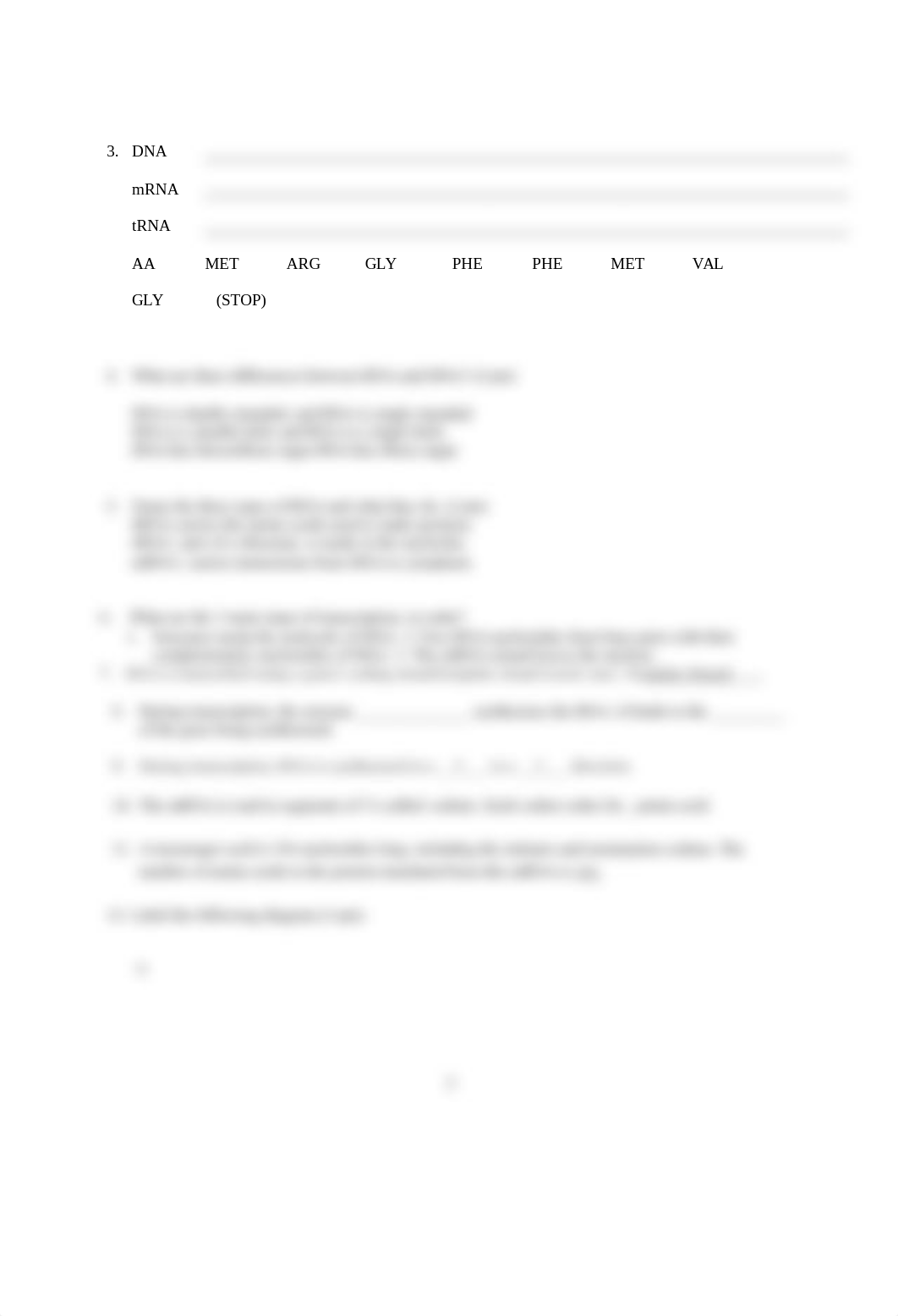 Lab 8 Transcription and Translation Worksheet 1.docx_dhyw5b4dt8b_page2