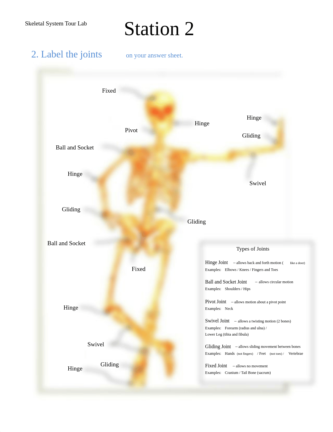 skeletal_system_tour_lab.pdf_dhyxp1ni0tc_page2