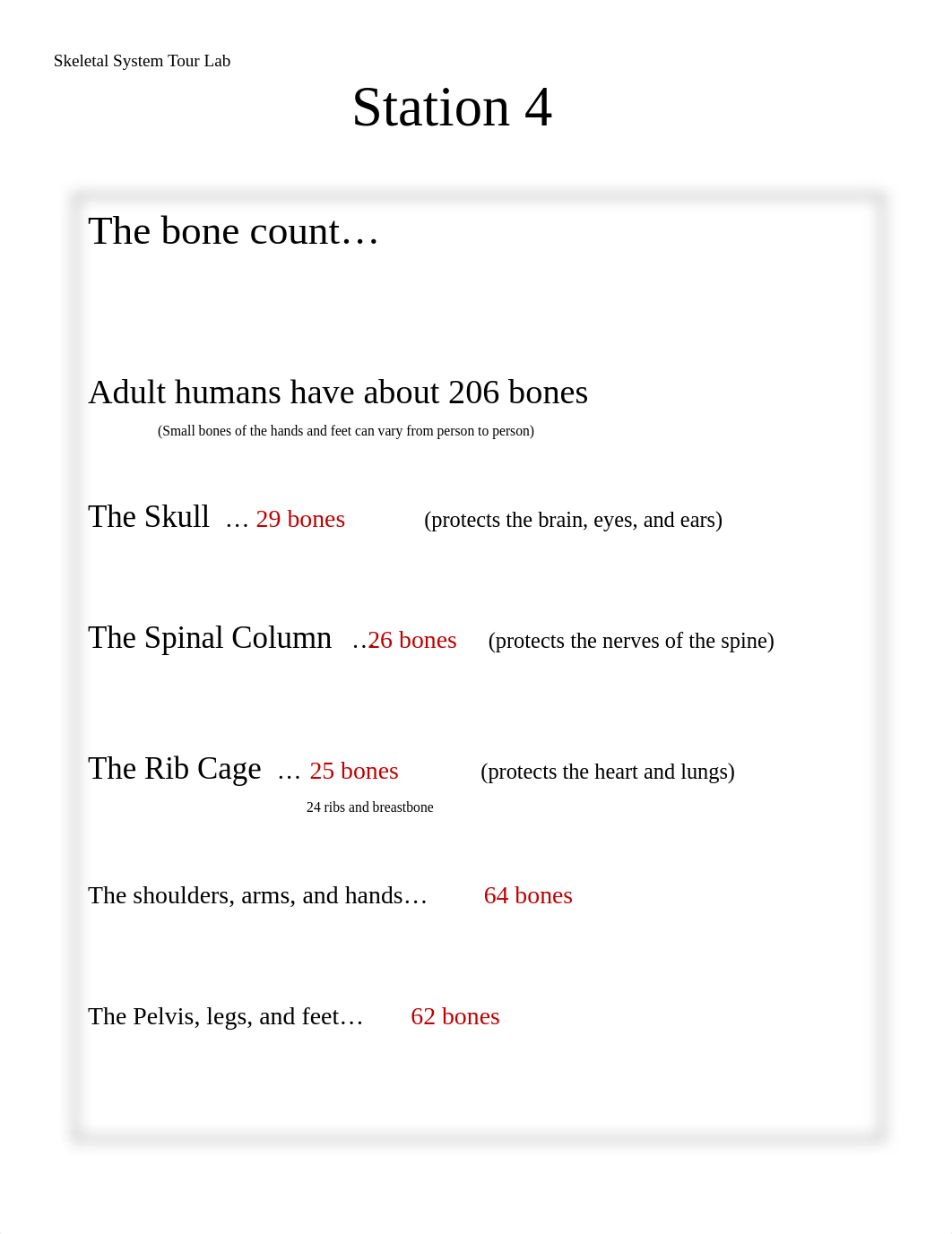 skeletal_system_tour_lab.pdf_dhyxp1ni0tc_page5