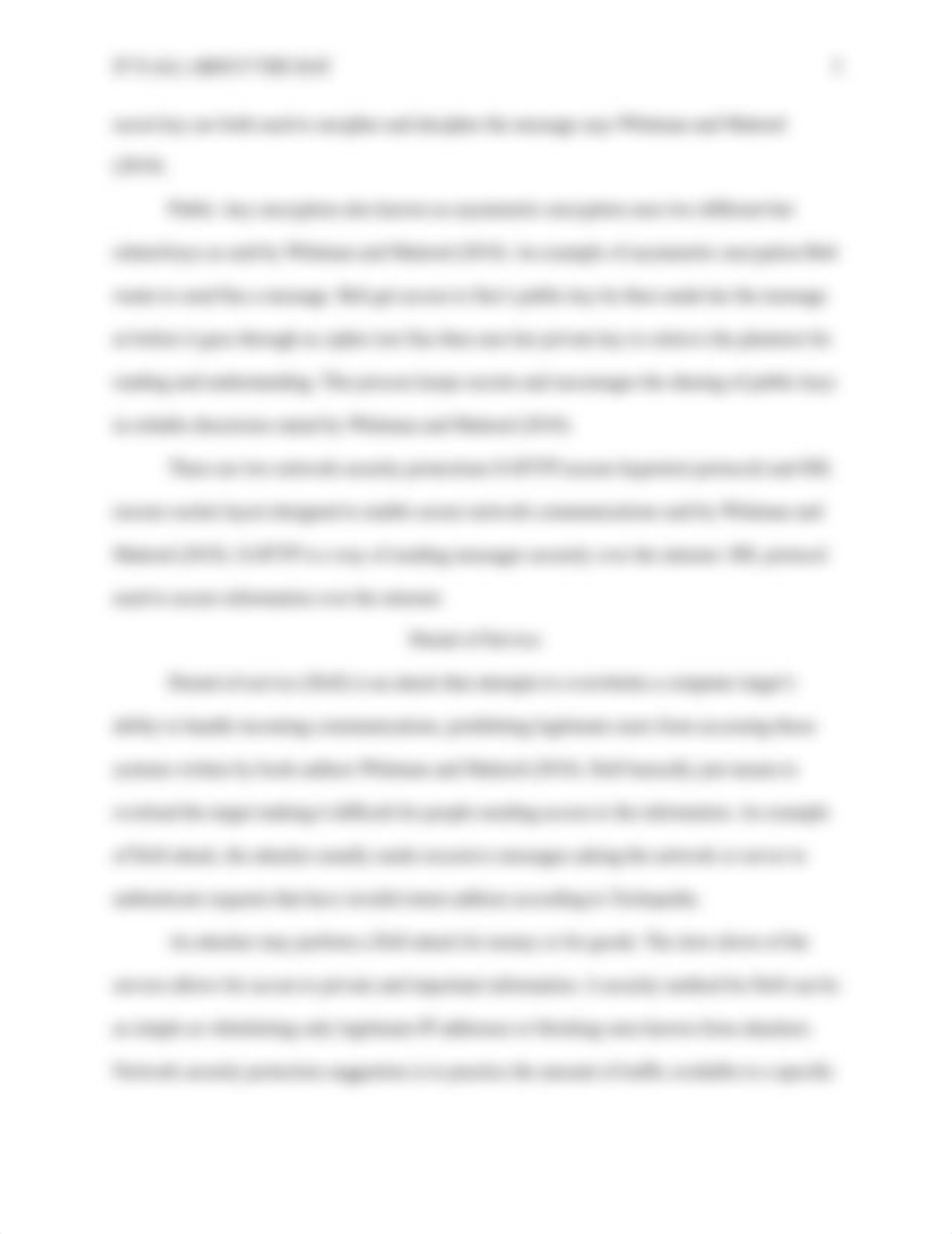 White Hat Hacker Finale.doc_dhz3nhusph2_page3