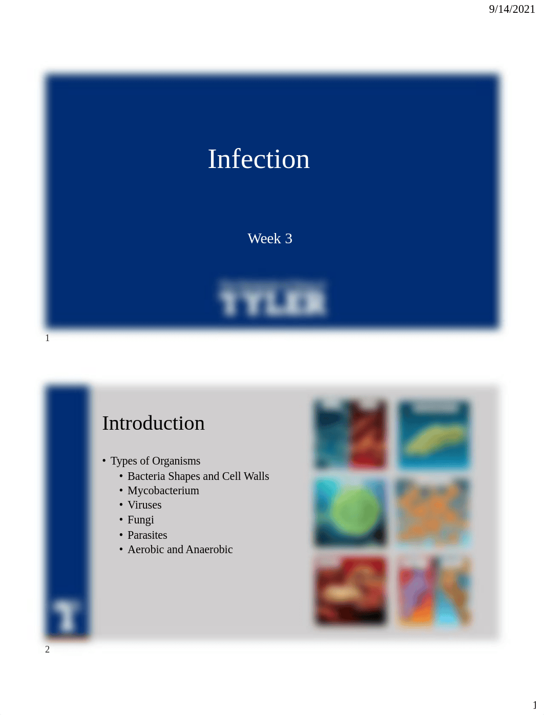 Infection_draft2.pdf_dhz6ga5zcn9_page1