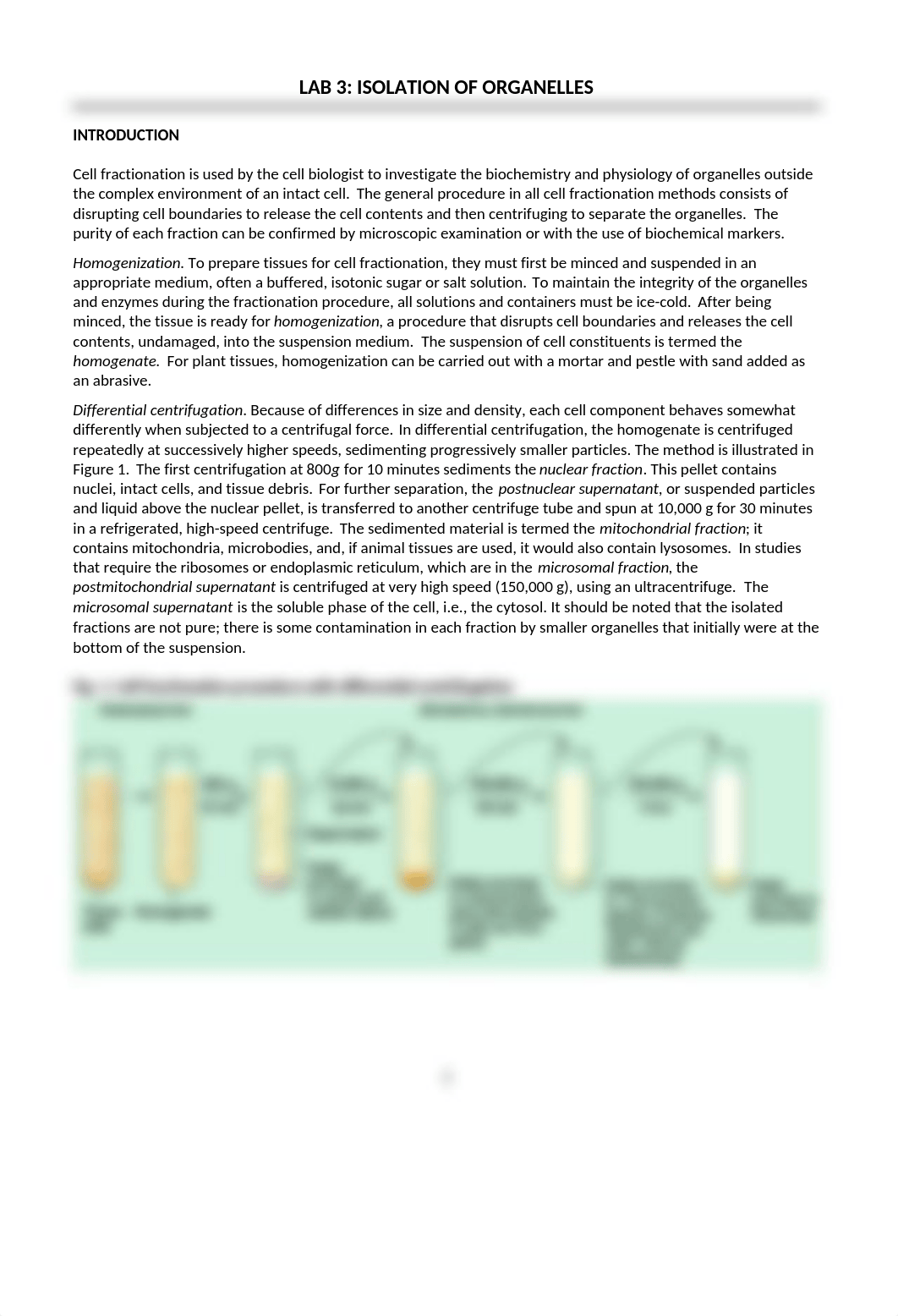 LAB 3 - Isolation of Organelles Anthony Sylvester.docx_dhzert19p54_page1