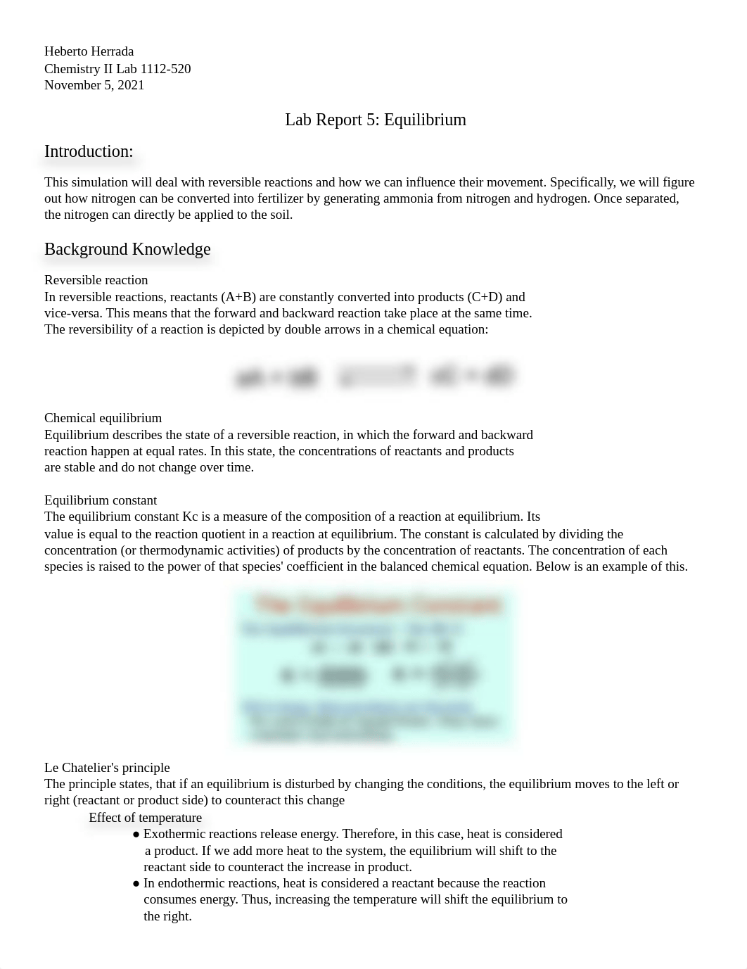 Lab 5 Report Equilibrium.docx_dhzjkk1aicd_page1