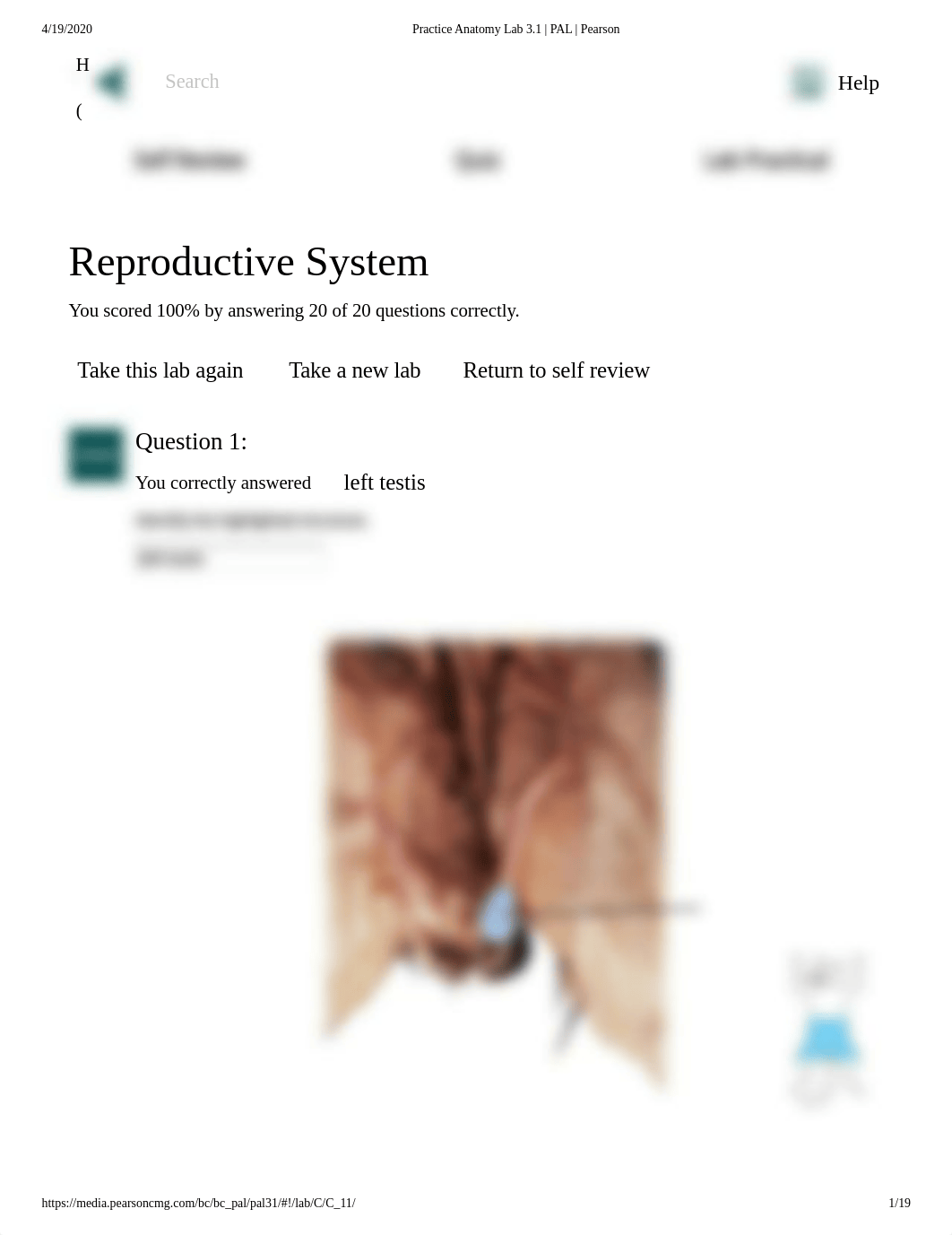 Doris BowdreCat (including Sheep Organs and Cow Eyes)  Reproductive System Lab practical.pdf_dhzlpywgldu_page1