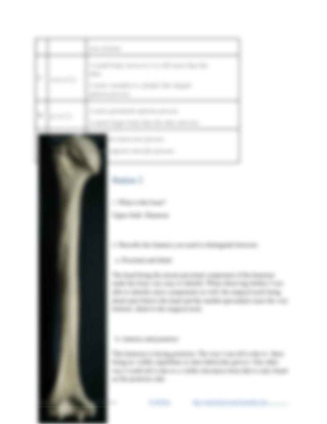 Identifying Bones Lab - Upper Body.docx_dhzx00rzt9a_page2