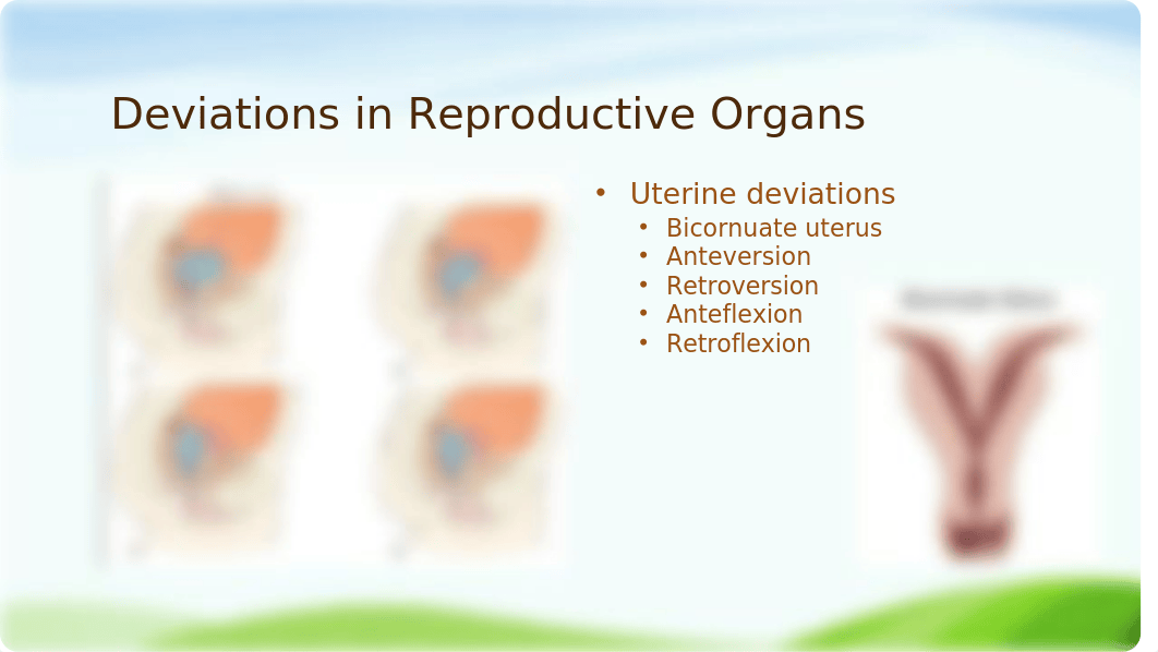 The Nursing Role in Reproductive and Sexual Health (1).pptx_di00pnq0kx3_page4