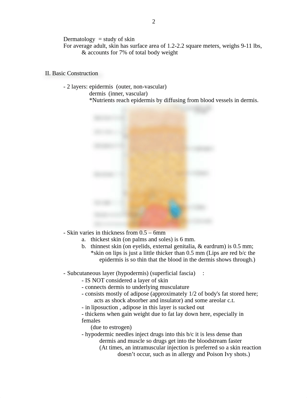 Ch 5 The Integumentary System notes.doc_di05snlrj71_page2