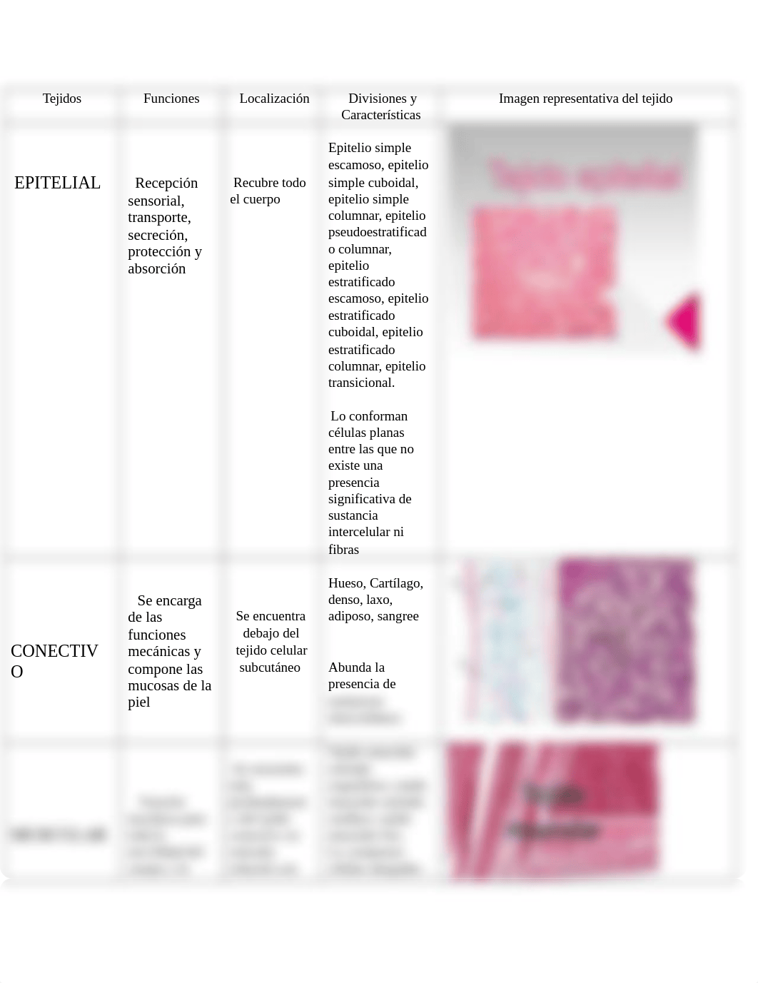 Proceso de envejecimiento y trastornos de los tejidos humanos.docx_di07kwvk85f_page1