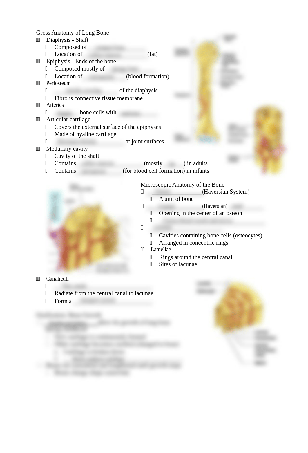 Kami Export - skeletal+system+guided+notes.pdf_di0zdov659j_page2