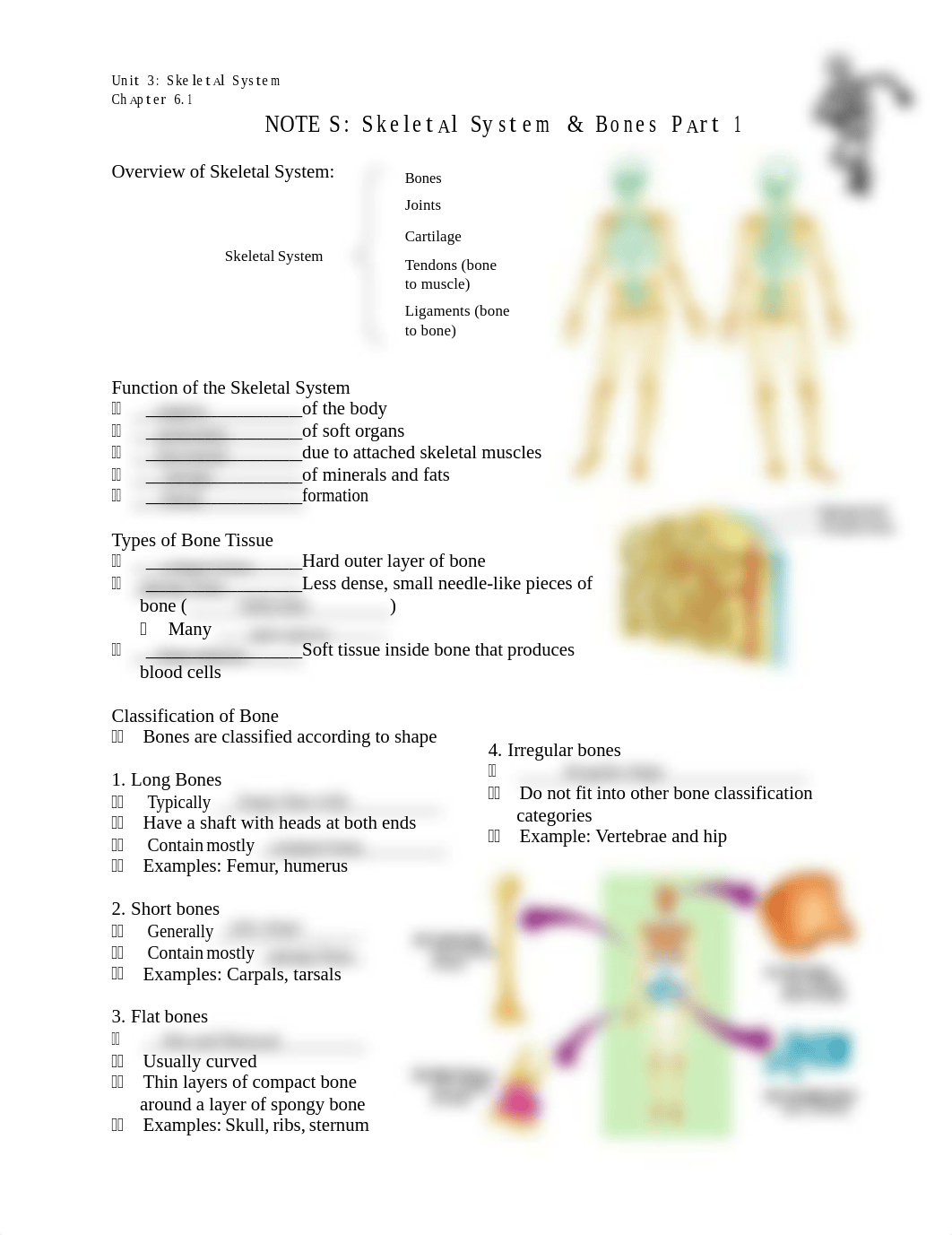 Kami Export - skeletal+system+guided+notes.pdf_di0zdov659j_page1