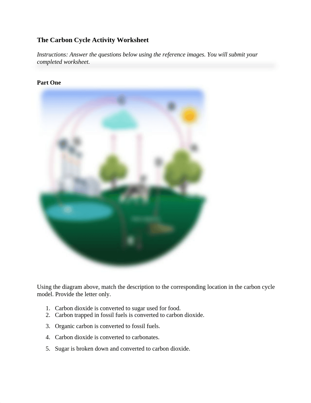 4.05 carbon cycle Alternate_worksheet 1.doc_di15qa1m96x_page1