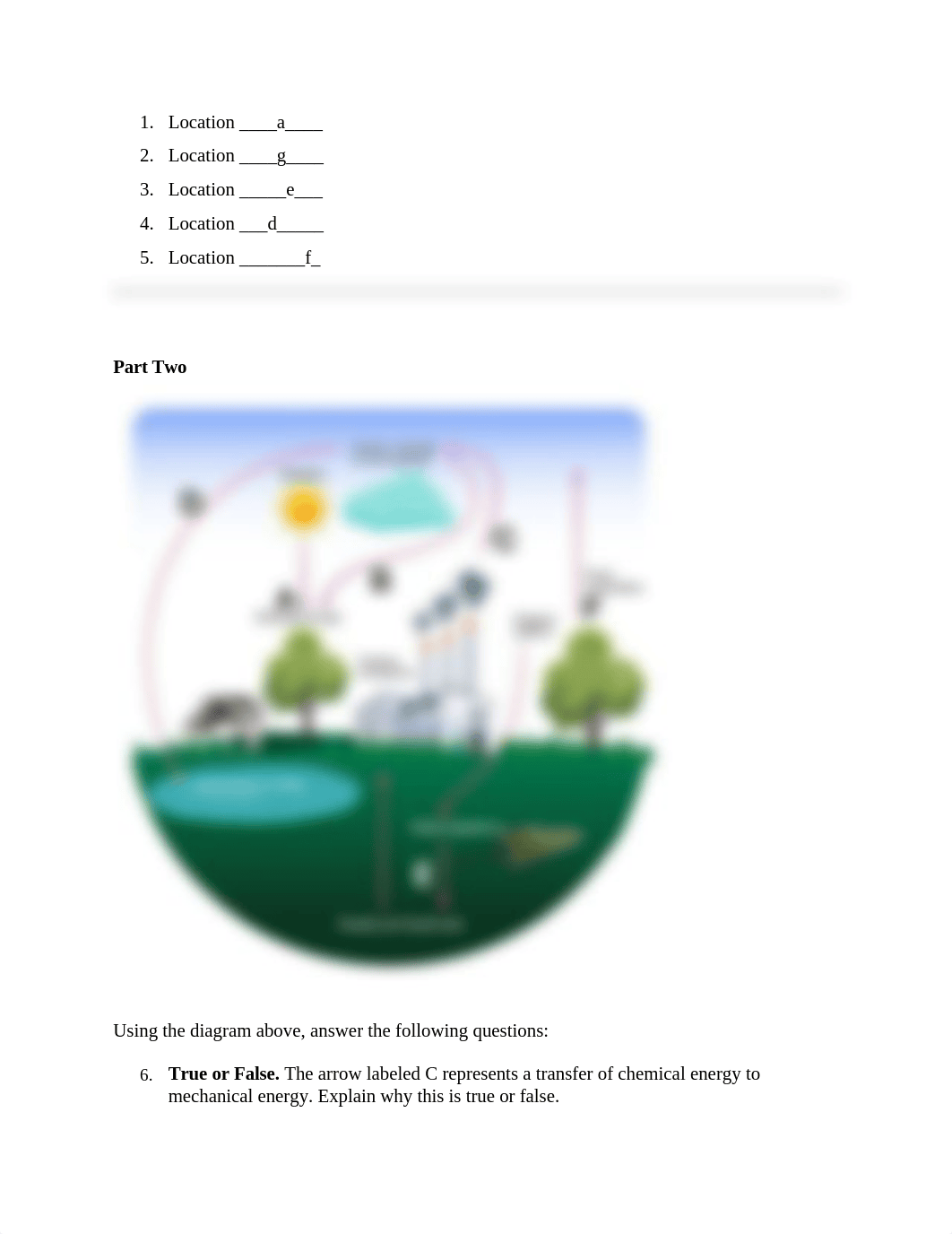 4.05 carbon cycle Alternate_worksheet 1.doc_di15qa1m96x_page2