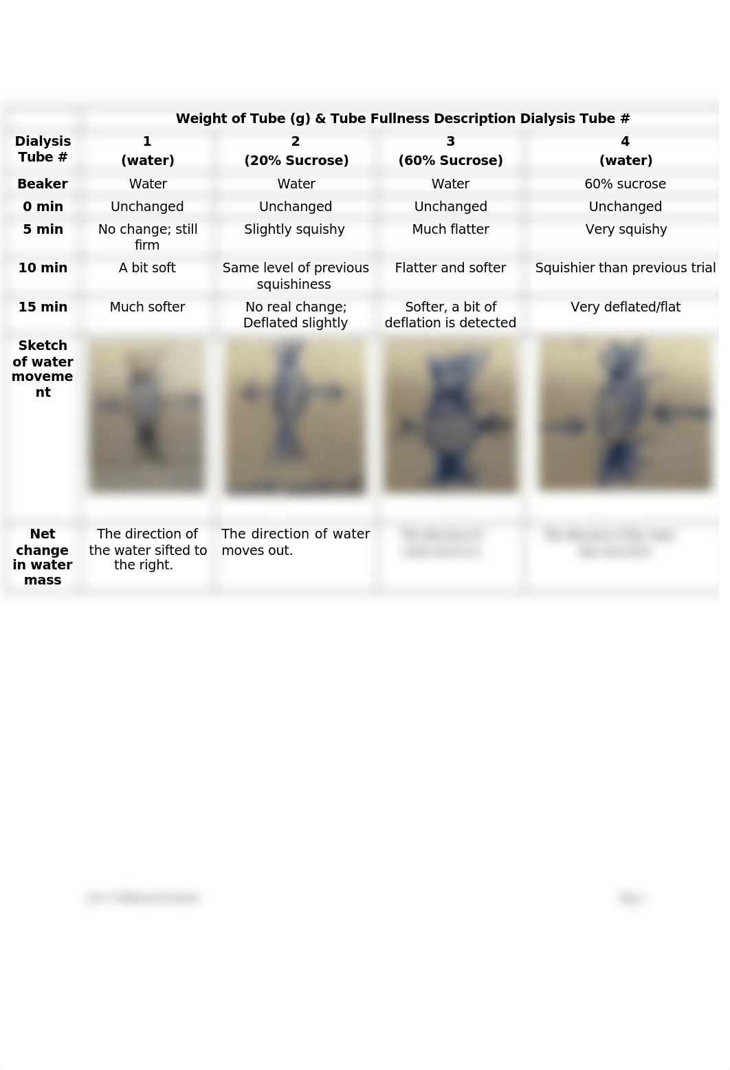 Brittany Norris Post Lab 5 Osmosis  Diffusion.doc_di18smpqodc_page2