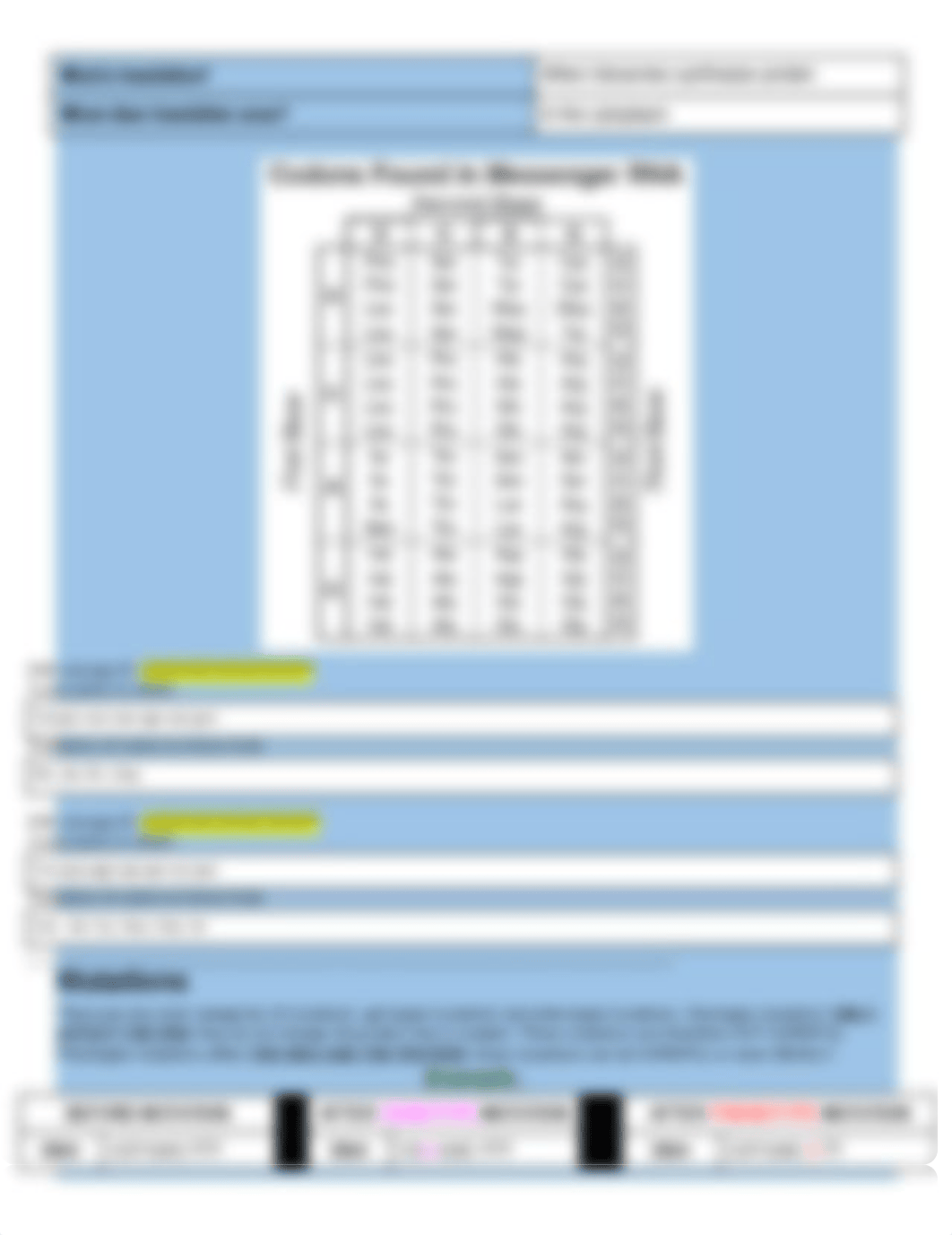 Copy of Meruvia Day 1 Activity DNA  Replication, Transcription, and Translation_di1akerrgkf_page2