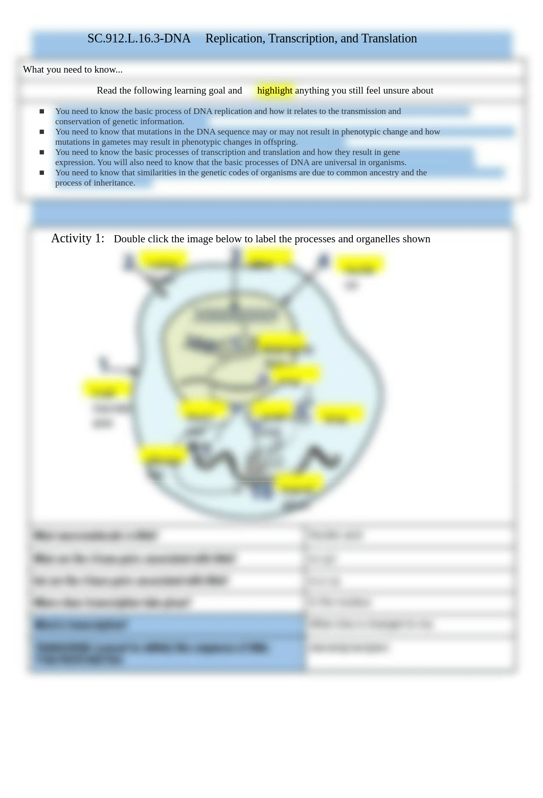 Copy of Meruvia Day 1 Activity DNA  Replication, Transcription, and Translation_di1akerrgkf_page1