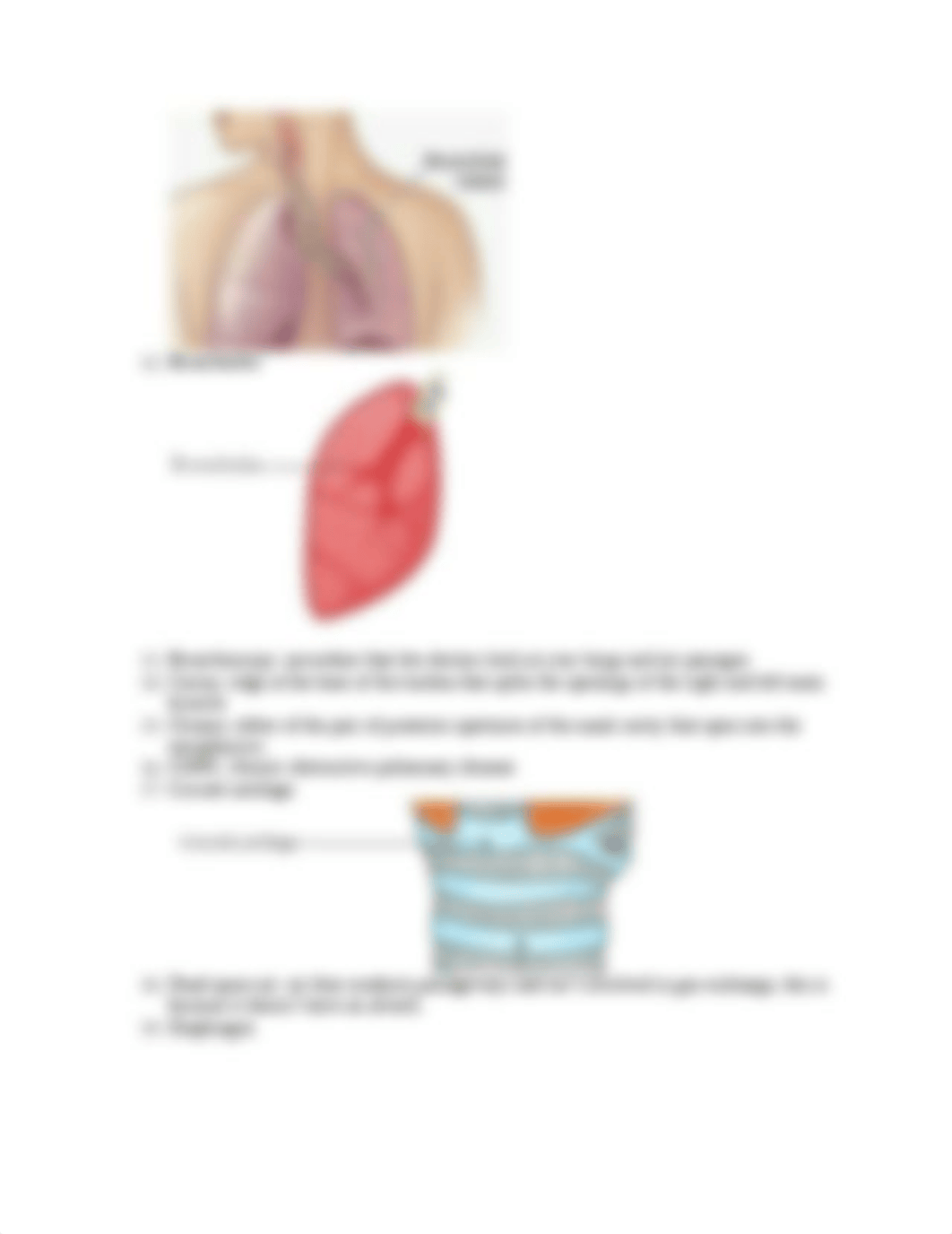 Week 5 glossary.docx_di1o9foa60v_page3