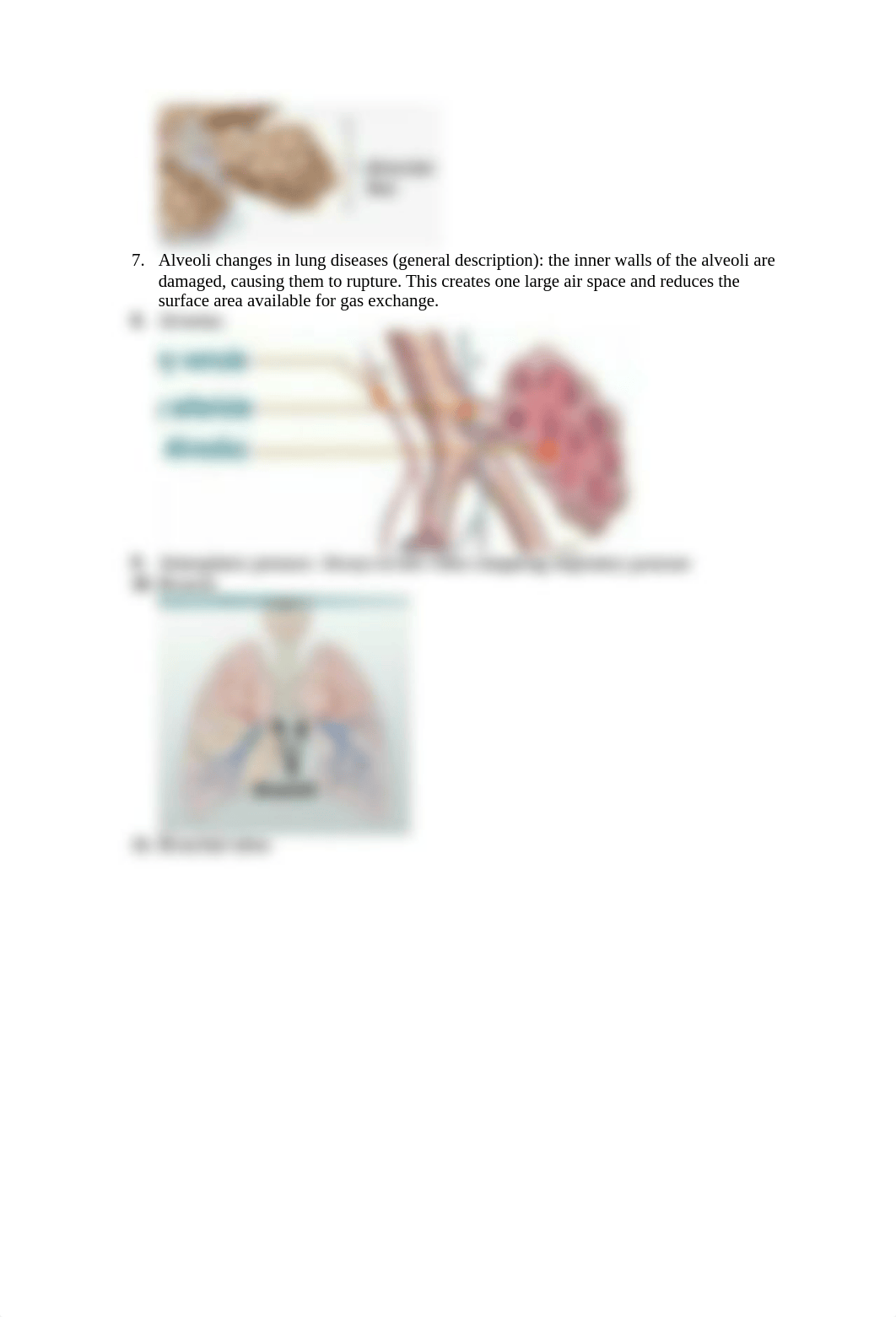 Week 5 glossary.docx_di1o9foa60v_page2